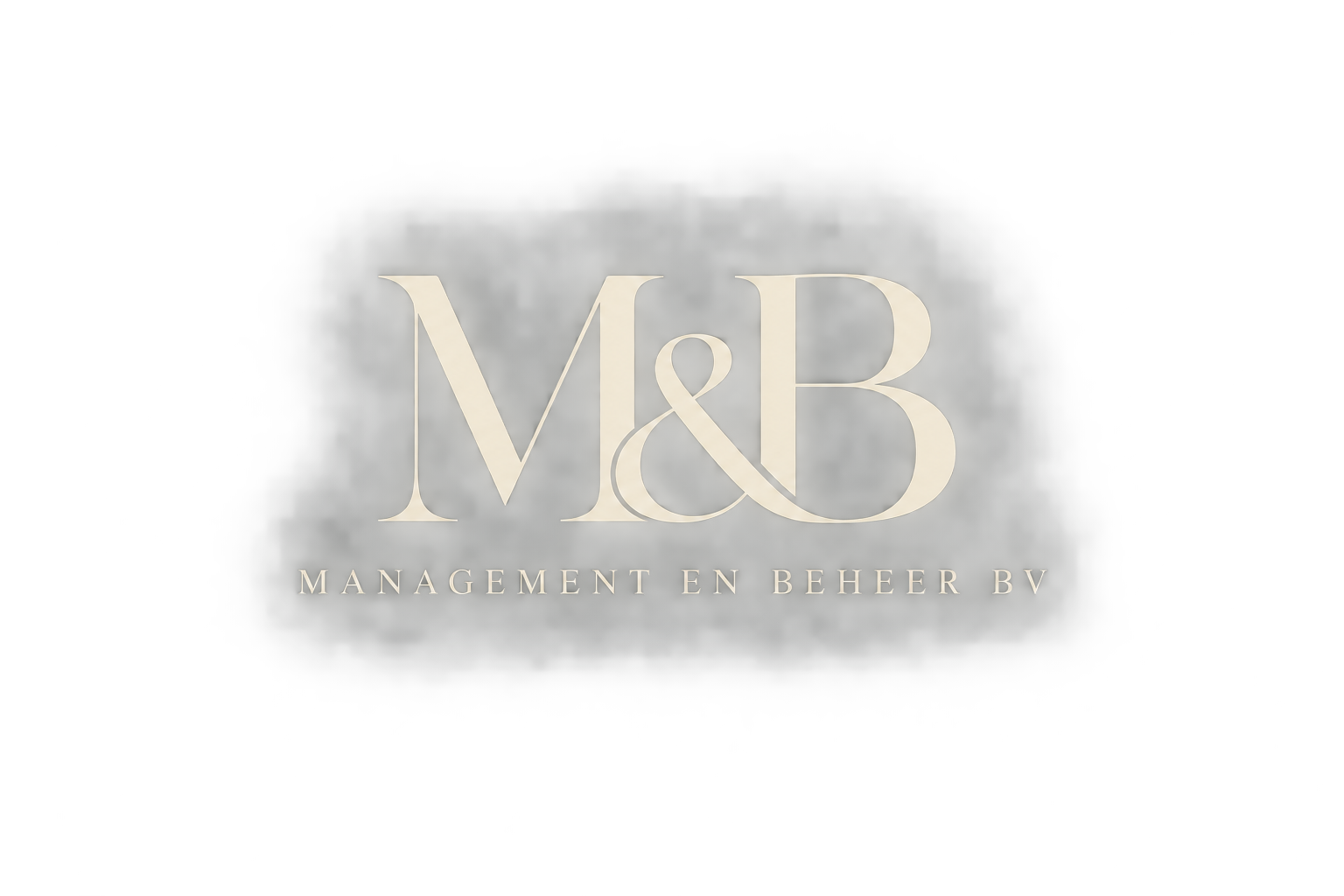 Management en Beheer BV